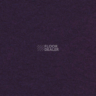 Ковролин Finett Feinwerk 753510 фото 1 | FLOORDEALER