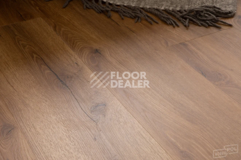 Vinilpol Click 5мм 8833-EIR Дуб Сан-Ремо фото 9 | FLOORDEALER