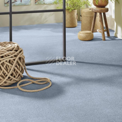 Vorwerk Superior 1065/Viola Vorwerk 3q69 фото 2 | FLOORDEALER