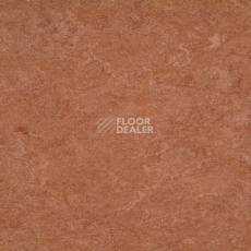 Линолеум Marmorette DLW 2.5mm 121-003 фото 1 | FLOORDEALER