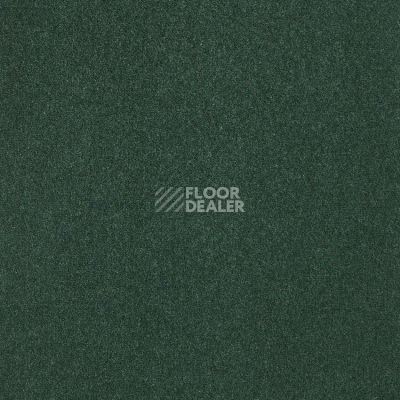 Ковролин Haima Unique Trend 20 фото 1 | FLOORDEALER