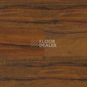 Линолеум Polyflor Expona Wood 6147 фото 1 | FLOORDEALER