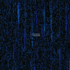 Desso Supira 9021 фото 1 | FLOORDEALER