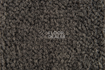 Balsan Les Best S 790 фото 2 | FLOORDEALER