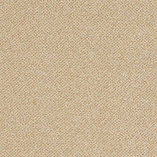 Ковролин Balta ITC Altro 37 фото 1 | FLOORDEALER