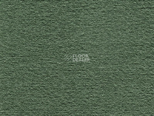 Ковролин Audrey 024 Audrey фото 1 | FLOORDEALER