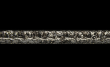 AW Maxima 99 фото 6 | FLOORDEALER