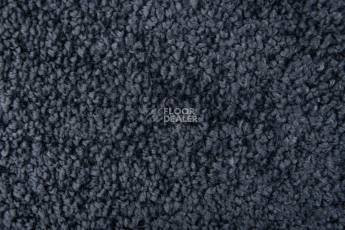 AW Daydream AW Daydream  77 фото 3 | FLOORDEALER