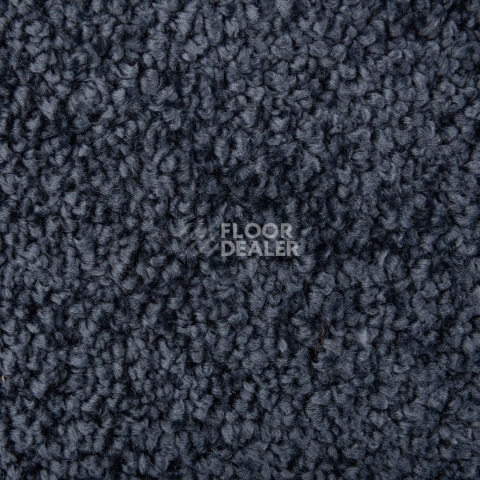 AW Daydream AW Daydream  77 фото 3 | FLOORDEALER