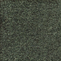 Emphatic Beaulieu of America 56343 фото 1 | FLOORDEALER