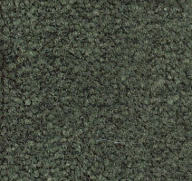 Ковролин Emphatic Beaulieu of America 56343 фото 1 | FLOORDEALER