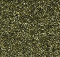 Ковролин AW Gala Equator 24 фото 1 | FLOORDEALER