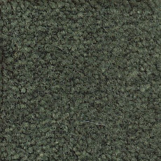 Ковролин Emphatic Beaulieu of America 56343 фото 1 | FLOORDEALER