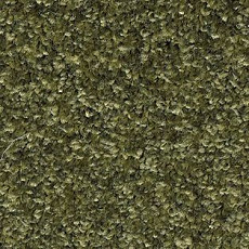 Ковролин AW Gala Equator 24 фото 1 | FLOORDEALER