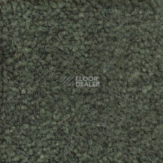Ковролин Emphatic Beaulieu of America 56343 фото 1 | FLOORDEALER