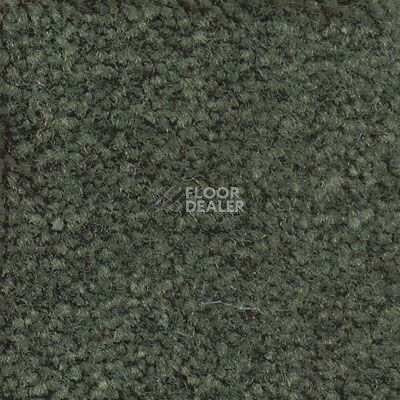 Ковролин Emphatic Beaulieu of America 56343 фото 1 | FLOORDEALER