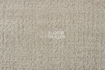 AW Tulle / Тюль 39 Dove фото 2 | FLOORDEALER