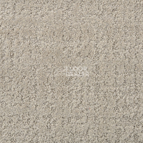 AW Tulle / Тюль 39 Dove фото 2 | FLOORDEALER