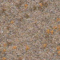 Ковролин Finett Vision Focus 105522 фото 1 | FLOORDEALER