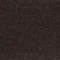 Ковролин Associated Weavers Continental 98 фото 1 | FLOORDEALER