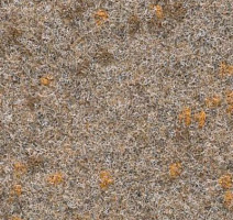 Ковролин Finett Vision Focus 105522 фото 1 | FLOORDEALER