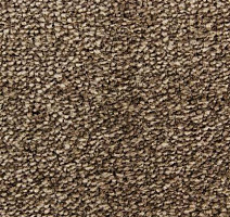 Ковролин Edel Affection 152 фото 1 | FLOORDEALER