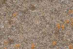 Ковролин Finett Vision Focus 105522 фото  | FLOORDEALER