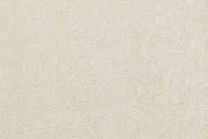 Ковролин Mohawk Lounge 891 фото  | FLOORDEALER