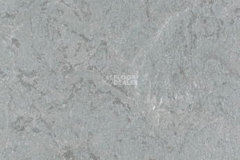 Forbo Marmoleum Solid Slate e3745-e374535 Cornish grey фото 1 | FLOORDEALER