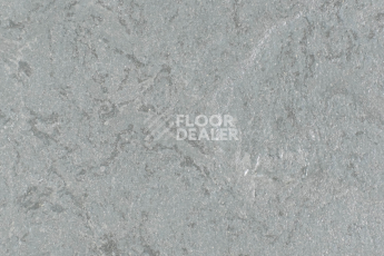 Линолеум Forbo Marmoleum Solid Slate e3745-e374535 Cornish grey фото 1 | FLOORDEALER