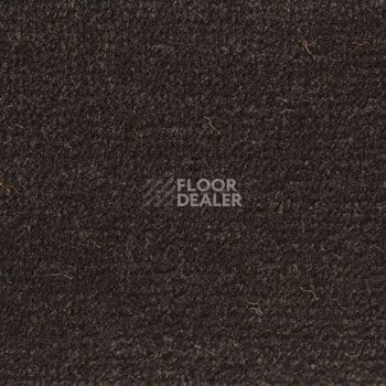 Ковролин Associated Weavers Continental 98 фото 1 | FLOORDEALER