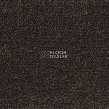 Ковролин Associated Weavers Continental 98 фото 1 | FLOORDEALER