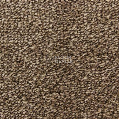 Ковролин Edel Affection 152 фото 1 | FLOORDEALER