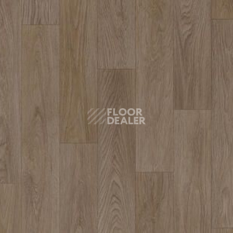 Линолеум Tarkett Acczent Pro OREN 2 фото 1 | FLOORDEALER
