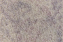 Flotex Colour Calgary 50*50 t 590011 Calgary Quartz фото 2 | FLOORDEALER