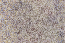 Flotex Colour Calgary 50*50 t 590011 Calgary Quartz фото 2 | FLOORDEALER