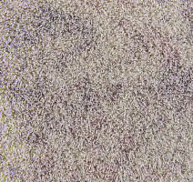 Flotex Colour Calgary 50*50 t 590011 Calgary Quartz фото 2 | FLOORDEALER