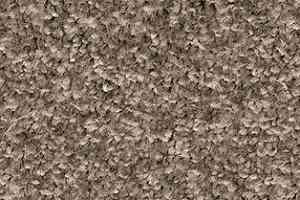 Ковролин AW Gaia Meridia 97 фото  | FLOORDEALER