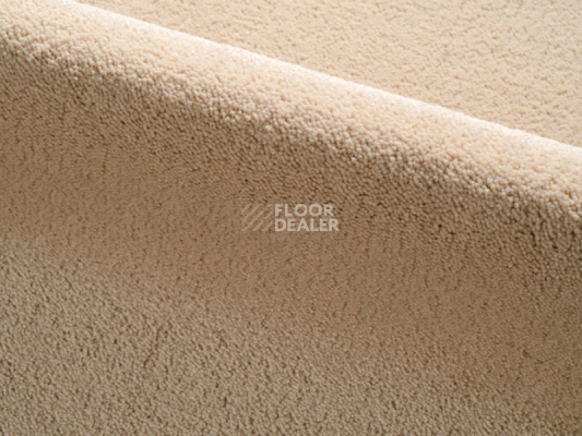 Ковролин Radici Dolce Vita 9805 фото 1 | FLOORDEALER