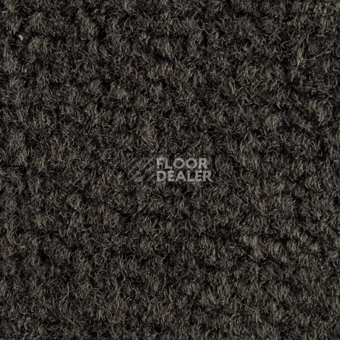 Balsan Les Best 990 фото 2 | FLOORDEALER