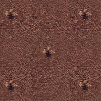 Ковролин Balta ITC Palace New 34 фото 1 | FLOORDEALER