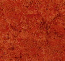 Линолеум Tarkett Acczent Mistral 200007 фото 1 | FLOORDEALER