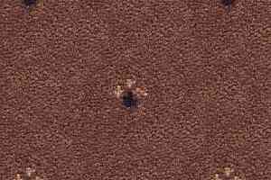 Ковролин Balta ITC Palace New 34 фото  | FLOORDEALER