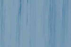 Линолеум Lino Fatra DUAL 903 фото  | FLOORDEALER