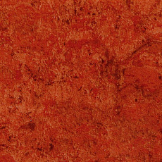 Линолеум Tarkett Acczent Mistral 200007 фото 1 | FLOORDEALER