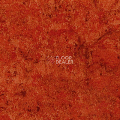 Линолеум Tarkett Acczent Mistral 200007 фото 1 | FLOORDEALER