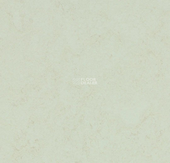 Forbo Marmoleum Solid Concrete 3749 Arctic фото 1 | FLOORDEALER