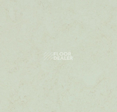 Forbo Marmoleum Solid Concrete 3749 Arctic фото 1 | FLOORDEALER