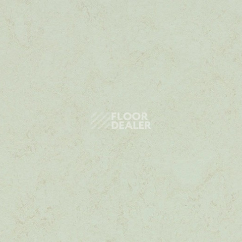Forbo Marmoleum Solid Concrete 3749 Arctic фото 1 | FLOORDEALER