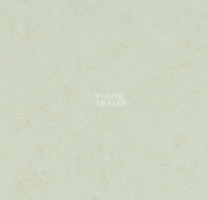 Линолеум Forbo Marmoleum Solid Concrete 3749 Arctic фото 1 | FLOORDEALER